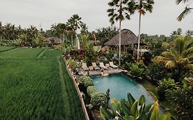 Padi Bali Eco Villas